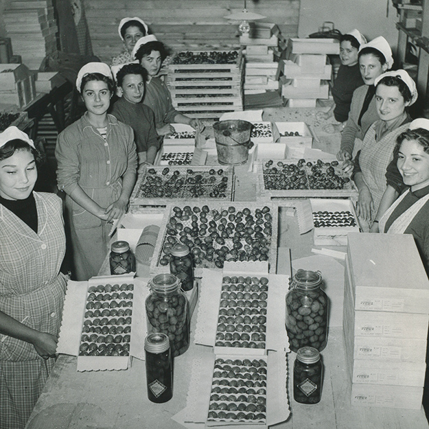 L'Histoire de la Confiserie Azuréenne